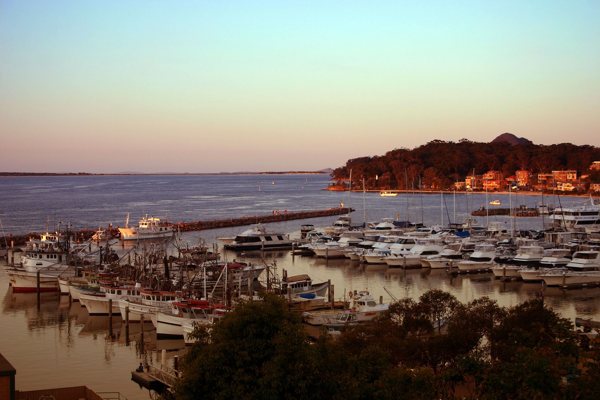 boats in marina